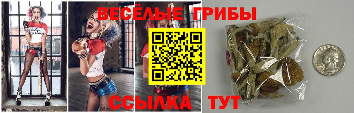 Галлюциногенные грибы мицелий Батайск